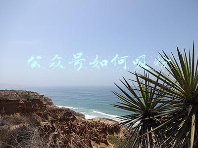 公众号如何吸粉