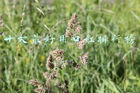 十大最好用口红排行榜
