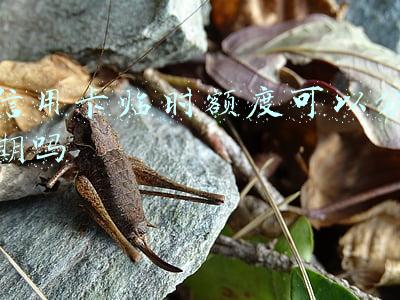 信用卡临时额度可以分期吗