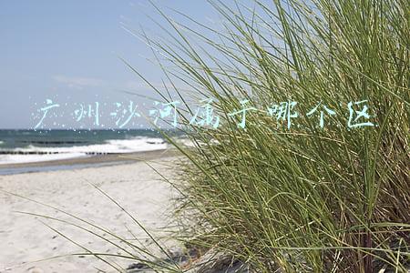 广州沙河属于哪个区