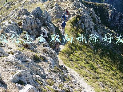微信怎么双向删除好友