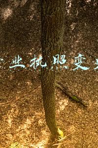 个体营业执照变更名字
