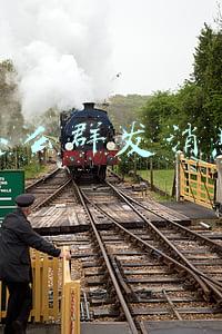 怎么群发消息