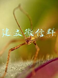 建立微信群