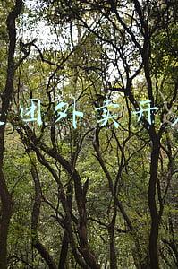 美团外卖开店需要什么资料(无证无线下门店也可入驻外卖平台？官方提醒：勿信)