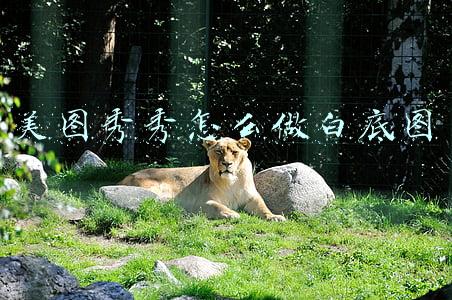 美图秀秀怎么做白底图