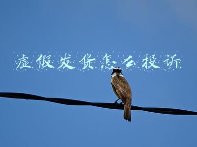 虚假发货怎么投诉