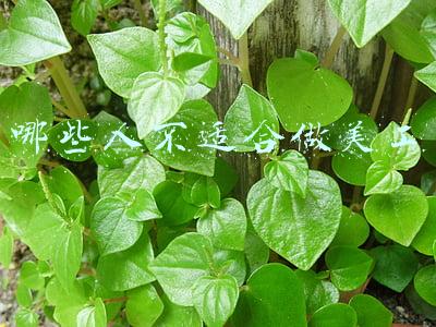 哪些人不适合做美工