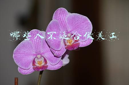 哪些人不适合做美工