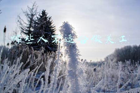 哪些人不适合做美工