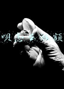 花呗怎么涨额度