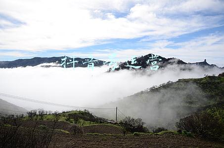 抖音号运营