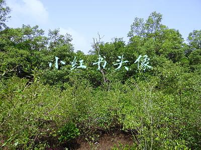 小红书头像