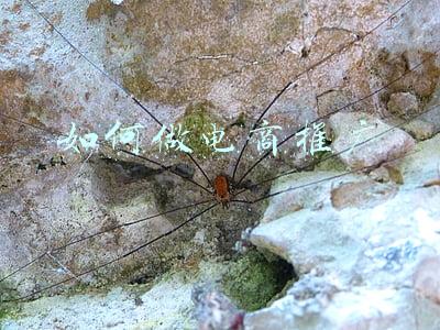 电商怎么推广(一文详解电商主要的推广方式)