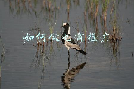 电商网络推广怎么做(企业网络推广｜如何让网上客户快速成交的三步骤)