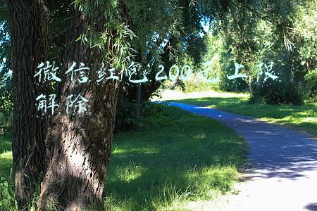微信红包200元上限解除操作(情人节收到“520红包”后该做什么？)