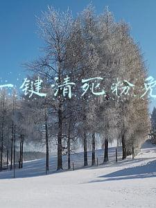 微信一键清死粉免费版