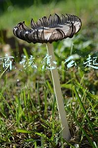 微商该怎么起步怎么介绍自己(微商新手必看起步技巧与销售方法)