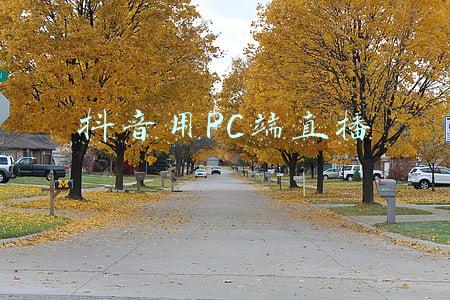 电脑抖音怎么直播(抖音零粉丝通过电脑软件OBS开直播)