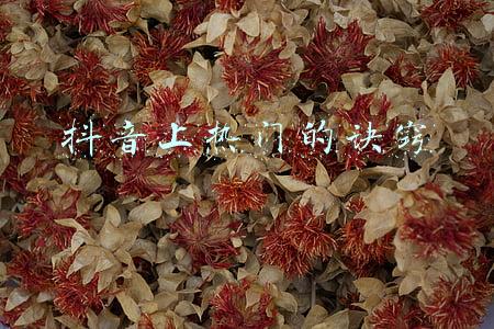 抖音上热门的诀窍