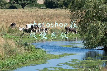 ps在线使用(免安装的在线PS)