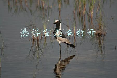 悬浮窗怎么打开vivo(新增游戏倒计时功能，vivo X27悬浮窗通知你复活)