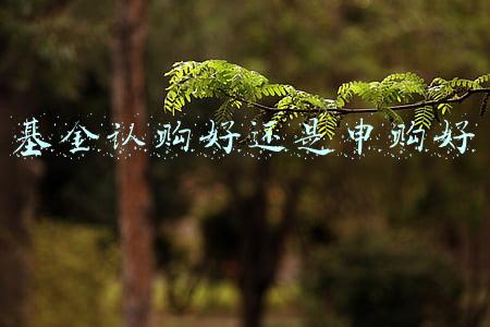 基金认购与申购的区别(区分认购和申购及其注意事项)