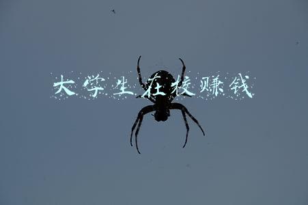 大学生在校赚钱
