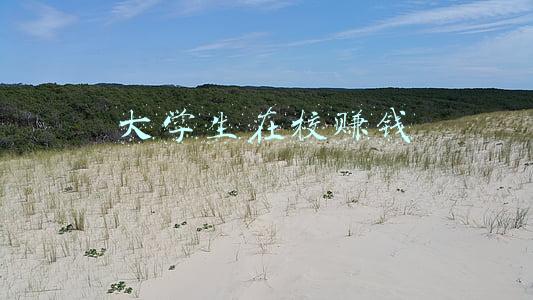大学生在校赚钱