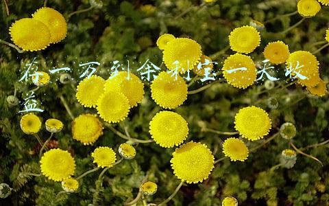 存一万到余利宝一天收益 存一万到余利宝一天收益