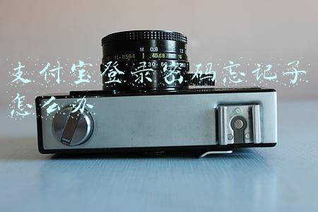 支付宝登录密码忘记了怎么办不能用短信(支付宝翻车了？用户睡梦中被扒眼皮转走15万…)