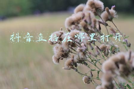 新版抖音直播在哪里打开(“闯关冰雪季 携手迎冬奥”新华网抖音直播间开启迎冬奥直播答题活动)