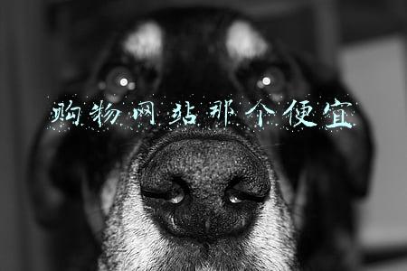 购物网站那个便宜