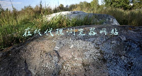 浏览器代理服务器(谷歌浏览器代理设置添加例外地址)