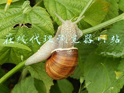 在线代理浏览器网站 在线代理浏览器网站