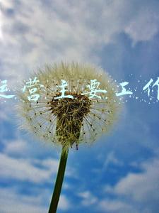 电商运营主要工作内容