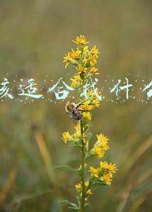 带小孩适合找什么工作
