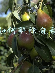 优酷如何解除自动续费