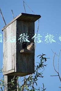 两小时后微信撤回攻略