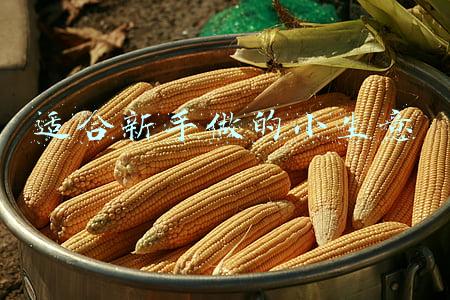 适合新手做的小生意