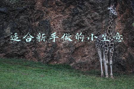 适合新手做的小生意 摆地摊(新手摆地摊卖点儿什么好？)