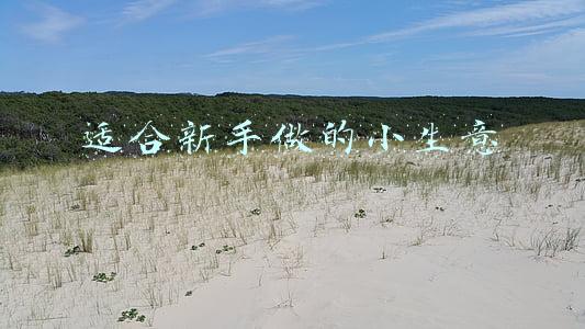 适合新手做的小生意