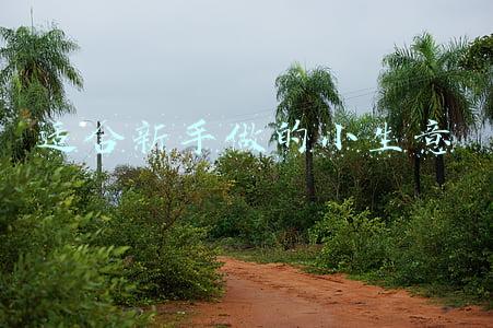 适合新手做的小生意