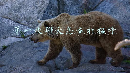 第一次聊天怎么打招呼