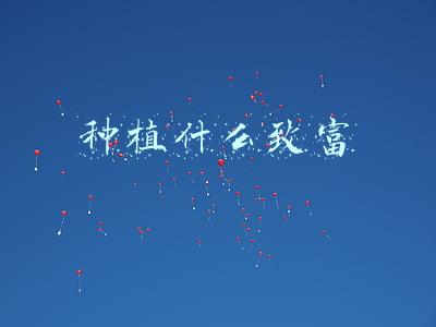 种植什么致富