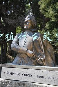 种植什么致富