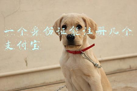 一个身份证能注册几个支付宝实名认证的(一个身份证可以开几个支付宝账户)