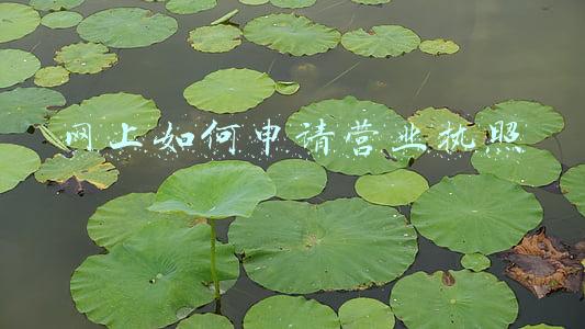 网上如何申请营业执照 网上如何申请营业执照