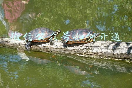 微信公众号如何开通