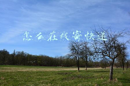怎么在线寄快递